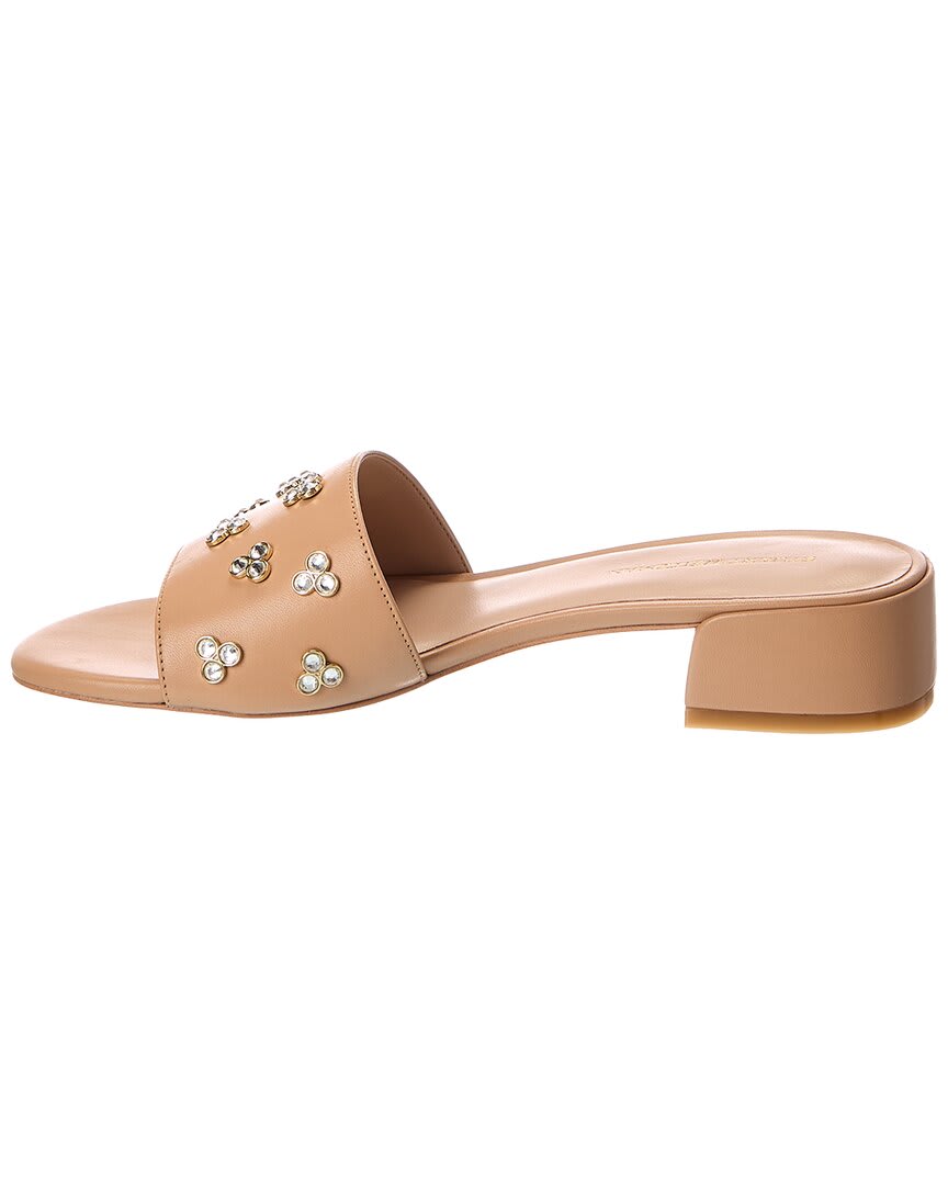Golden Beige-