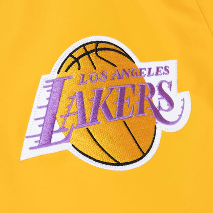 Mitchell & Ness NBA Paintbrush Warm Up Pants La Lakers Pants