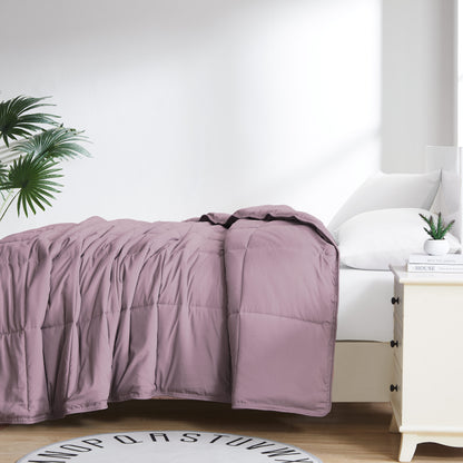 Lavender-