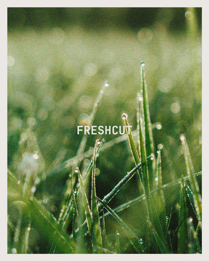 Freshcut Candle-