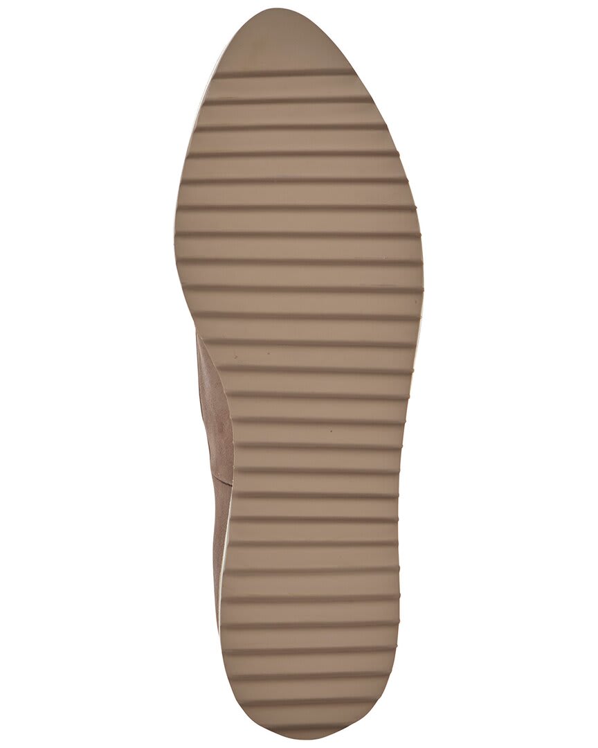 TAUPE-