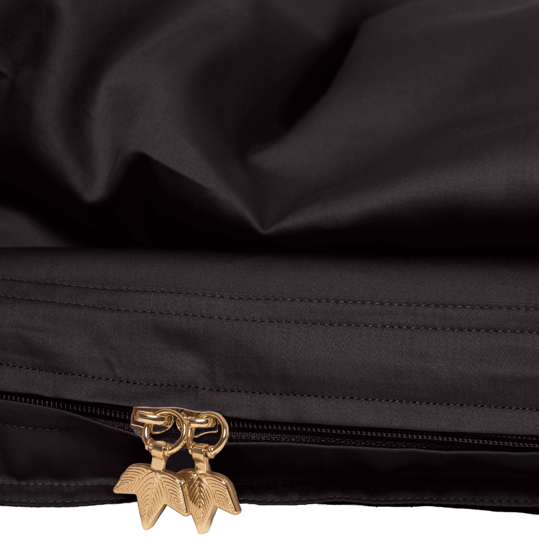 Bear-