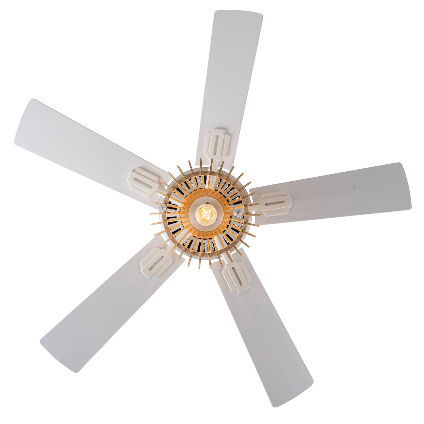 Tan/ White-