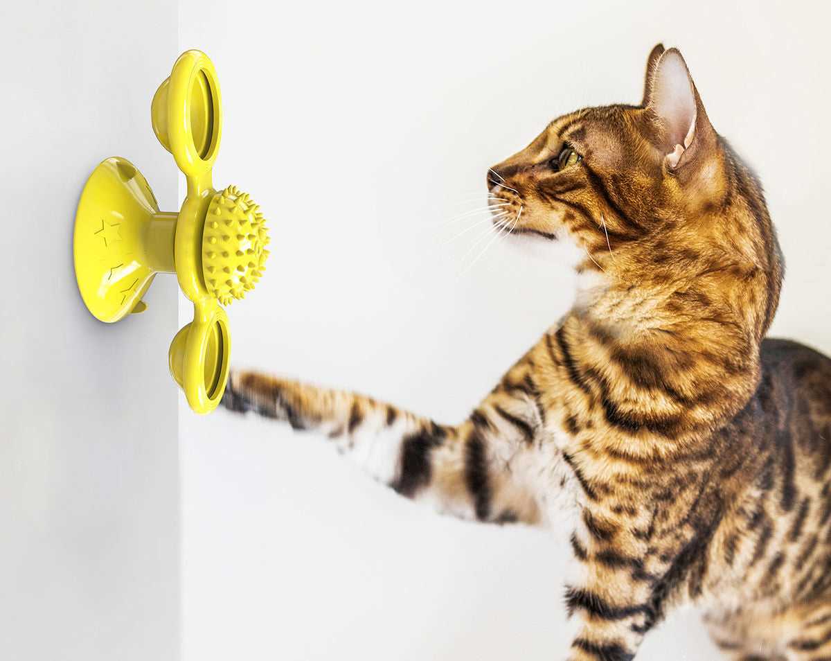 Yellow-