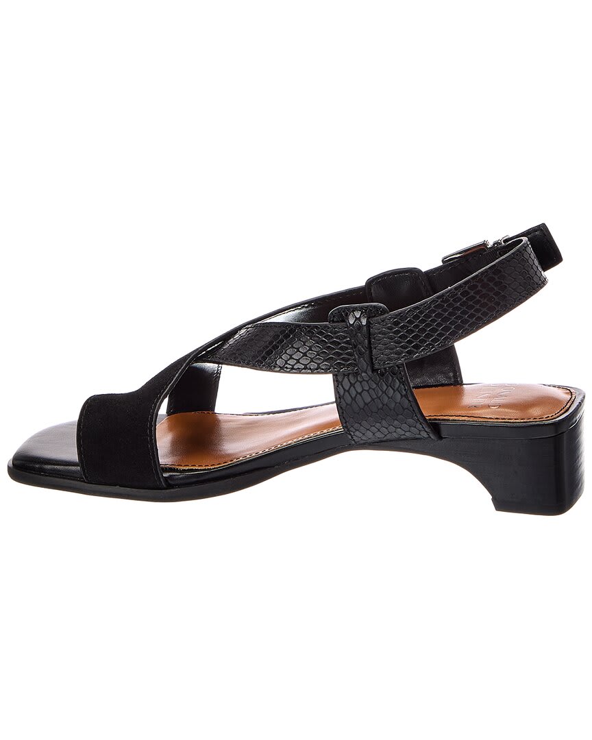 BLK-BLACK-