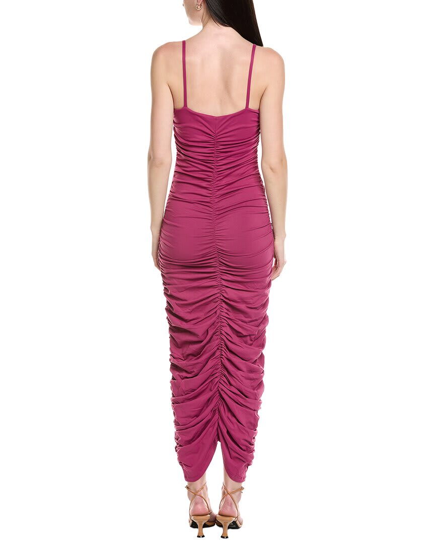 WBR-WILD BERRY-