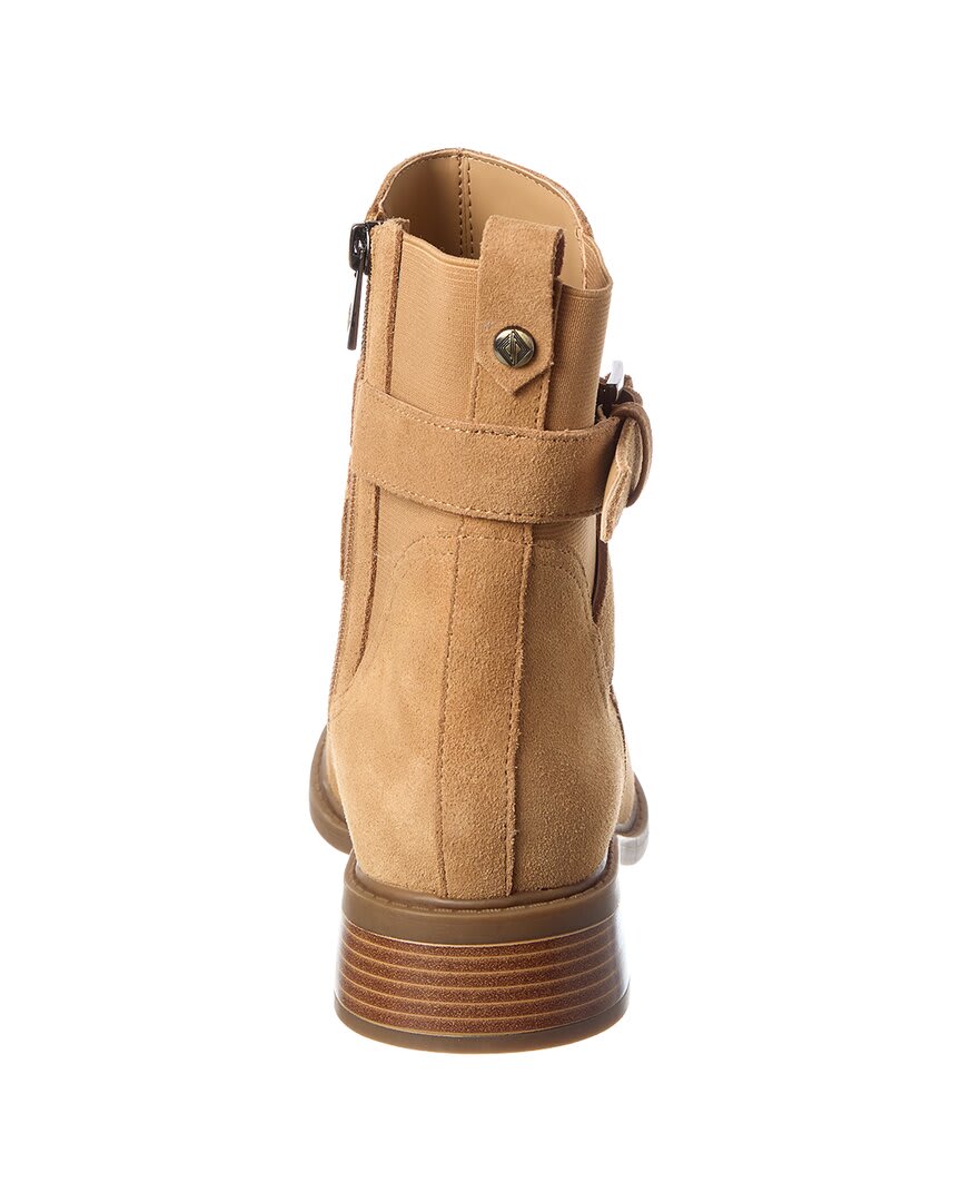 CAME-CAMEL-
