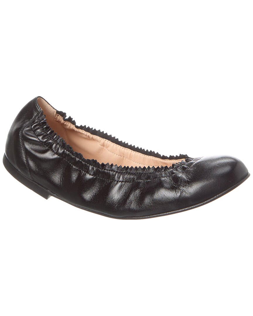 Black Leather-