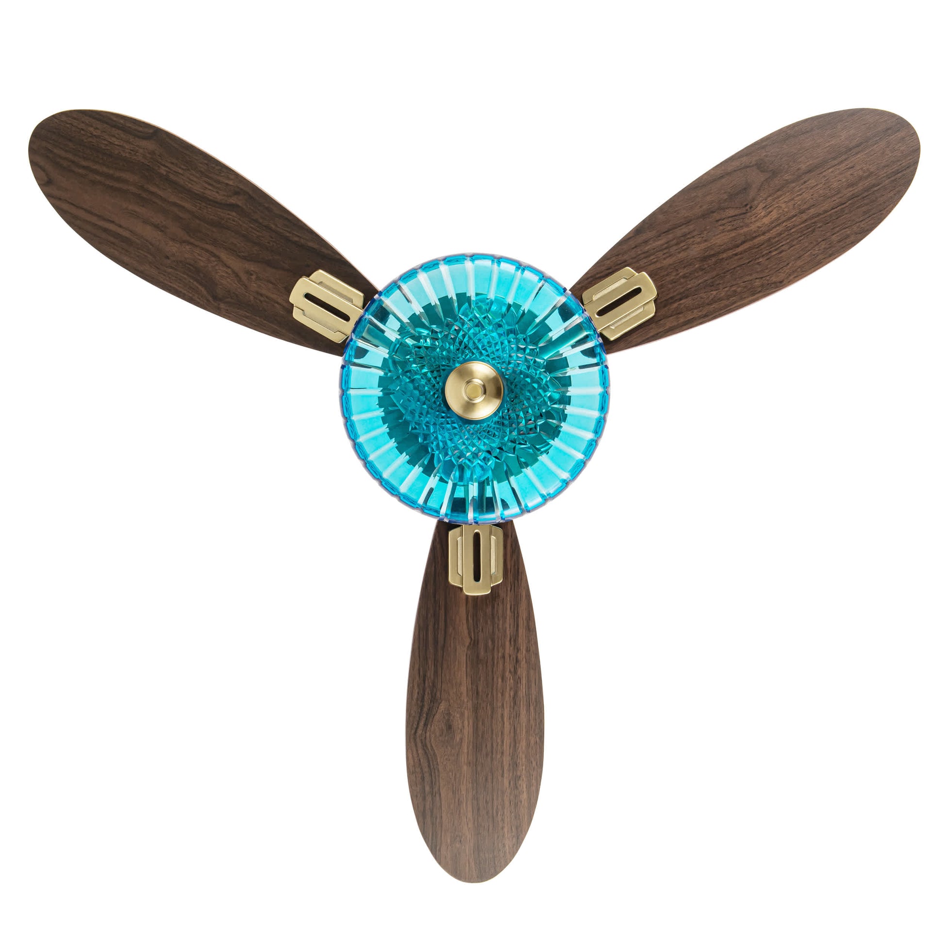 Blue/Gold-