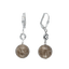 Fossilized Coral