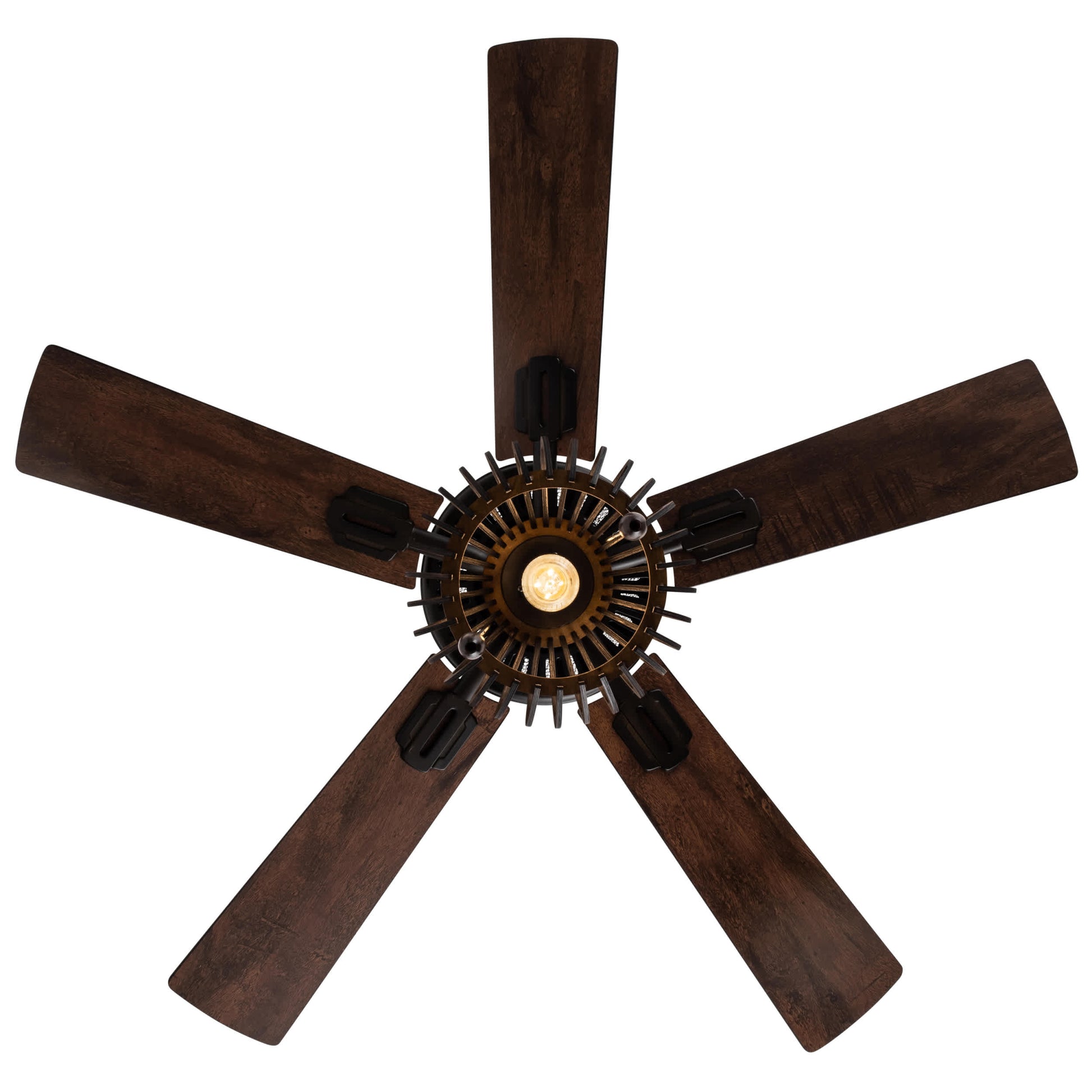Brown/ Oil Rubbed Bronze-