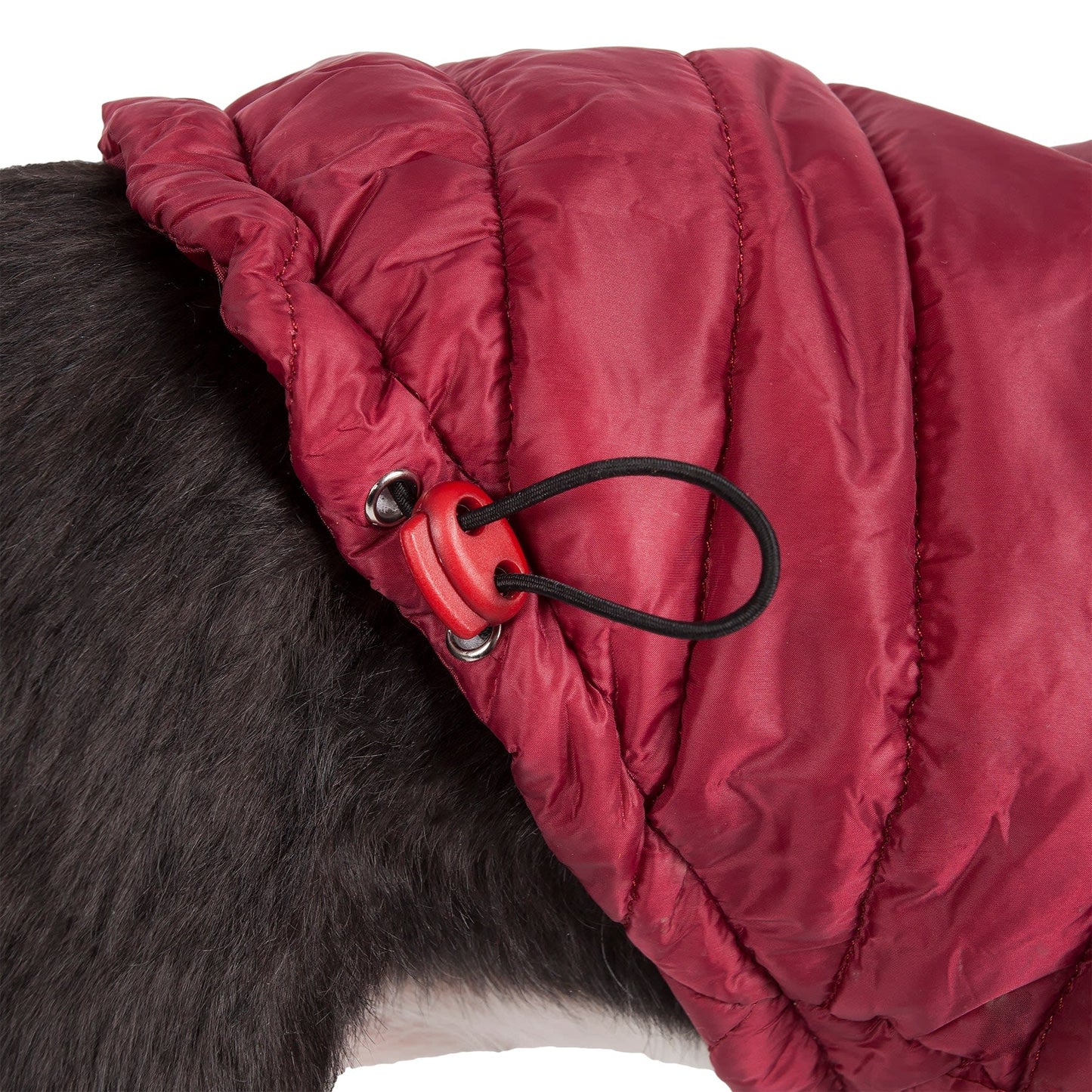 Burgundy Red-