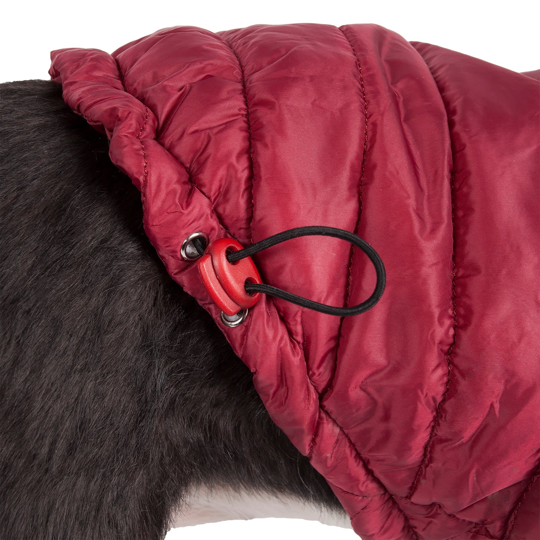 Burgundy Red-