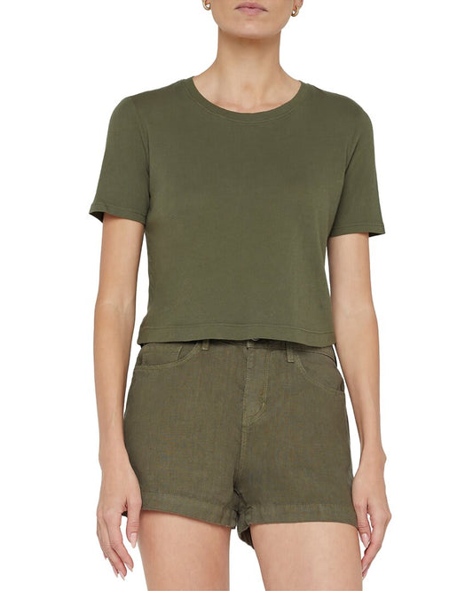 IVGN-IVY GREEN-