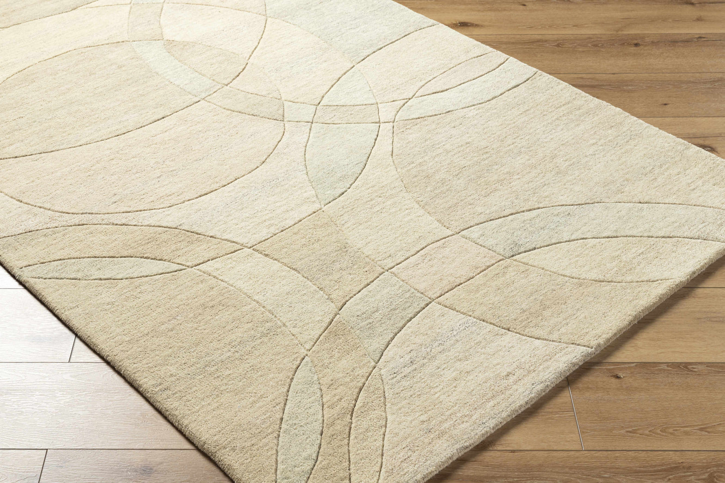 Rollo Area Rug