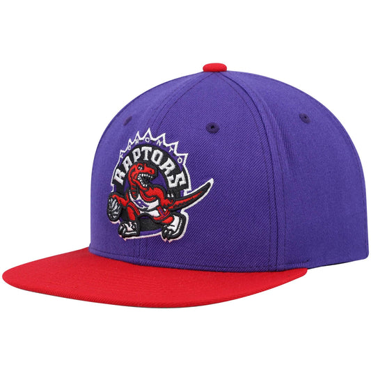Men's Mitchell & Ness NBA Team 2 Tone 2.0 Snapback Hwc Raptors