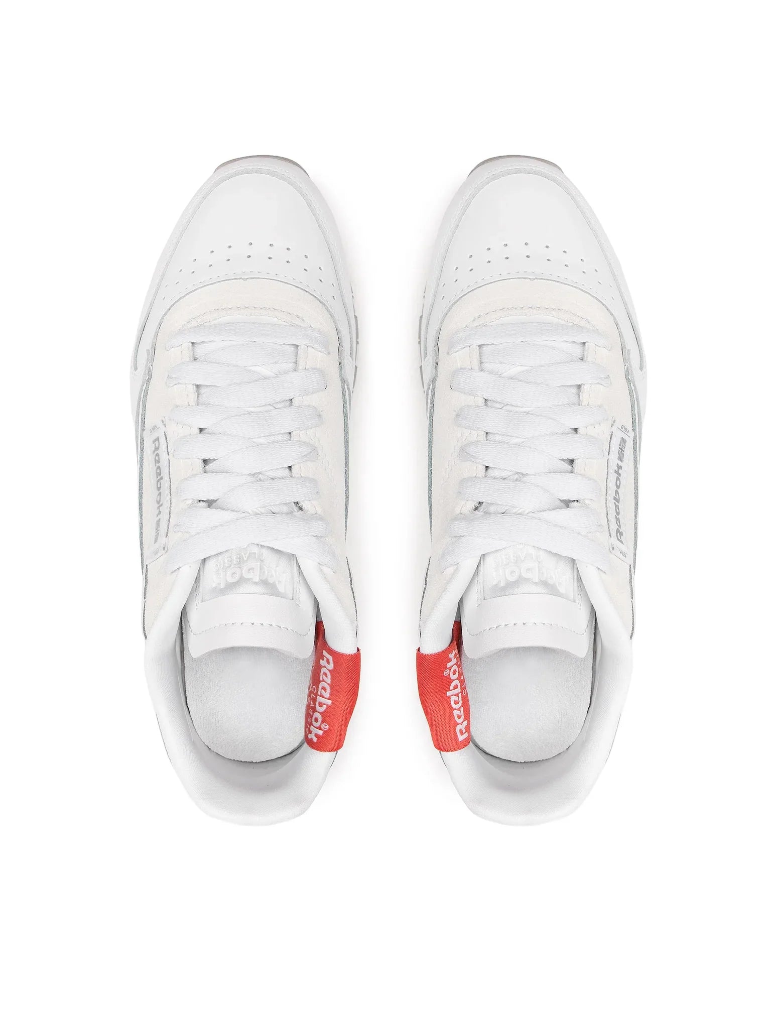 Ftwwht/Pugry4/Rhodon-