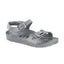 Metallic Silver
