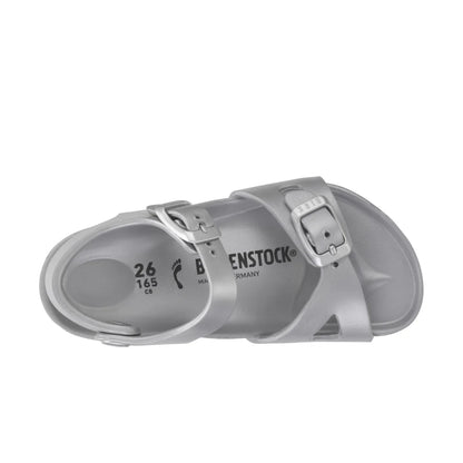 Metallic Silver-