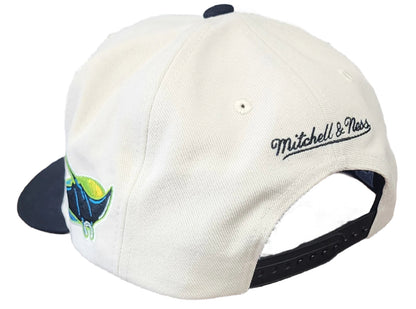 Mitchell & Ness Men's MLB Off Word Pro Snapback Coop Rays Snapback Caps