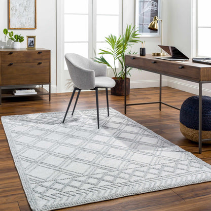 Rena Area Rug - Clearance