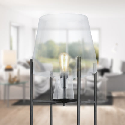 Clear/ Black-