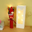 Red Rose + Box + Light