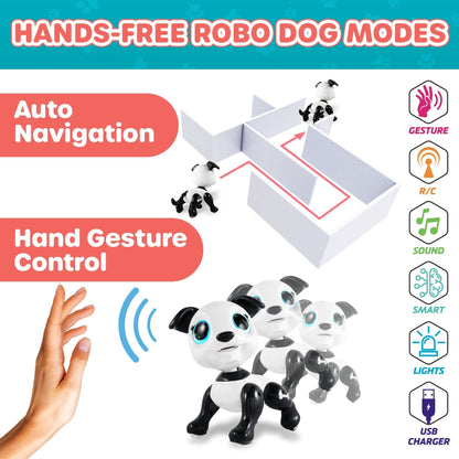 Black and white robot dog, white remoted, black, red, blue and gray food-