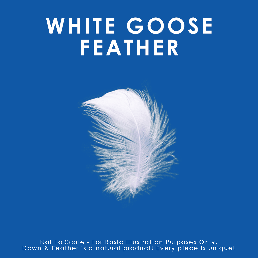 White-