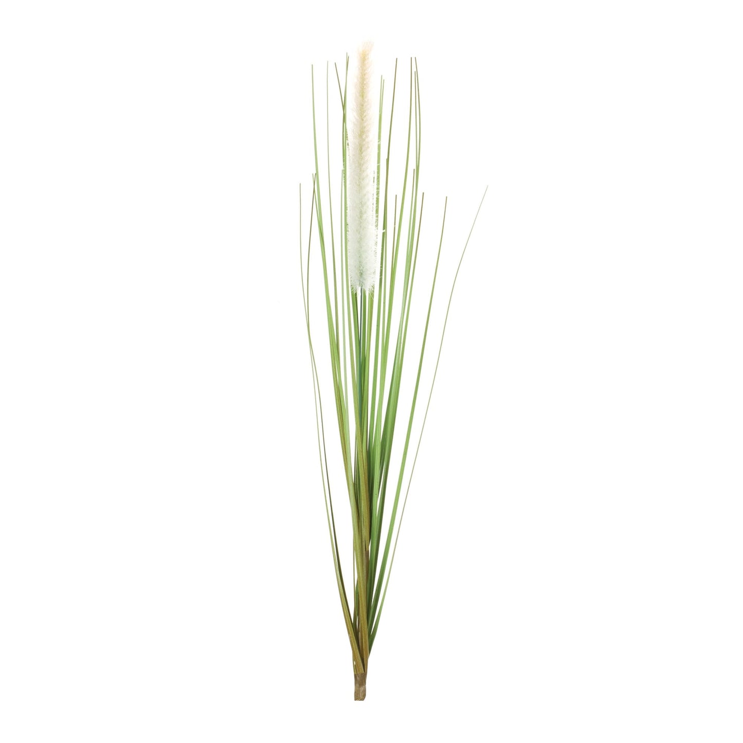 Melrose International Foxtail Bush (Set of 12)