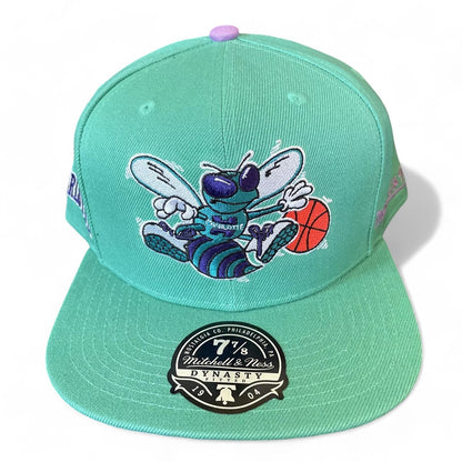 Mitchell & Ness Men's NBA Hyperteam Fitted Hwc Hornets Fitted Caps