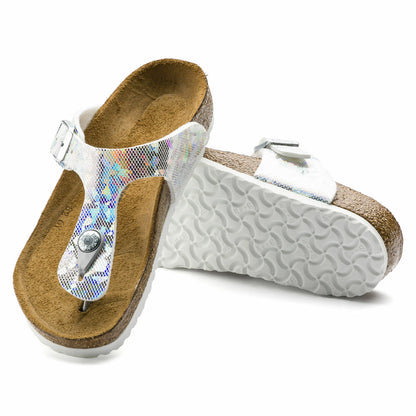 Hologram Silver-