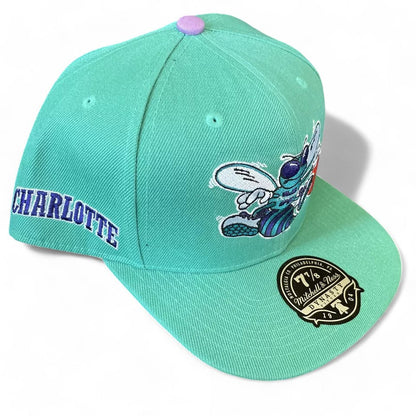 Mitchell & Ness Men's NBA Hyperteam Fitted Hwc Hornets Fitted Caps