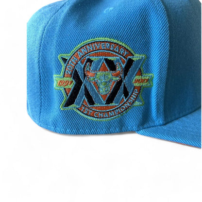 Mitchell & Ness Men's NBA Mystery Van Fitted Hwc Bulls Fitted Caps
