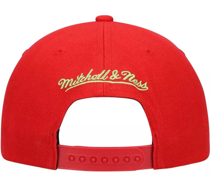 Mitchell & Ness Men's NBA Reverse Candy Apple Snapback Nets