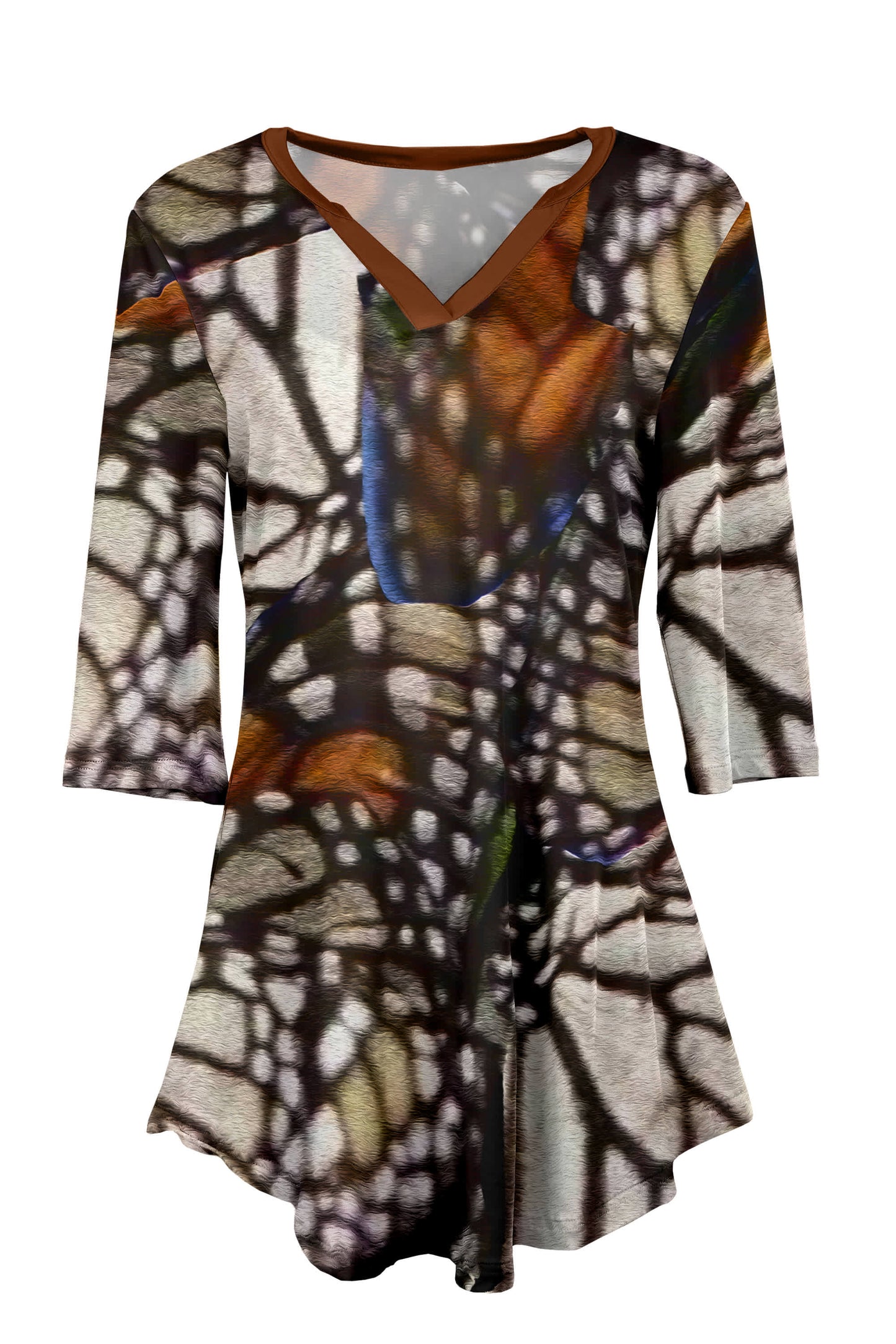 Black Brown Monarch Butterfly-