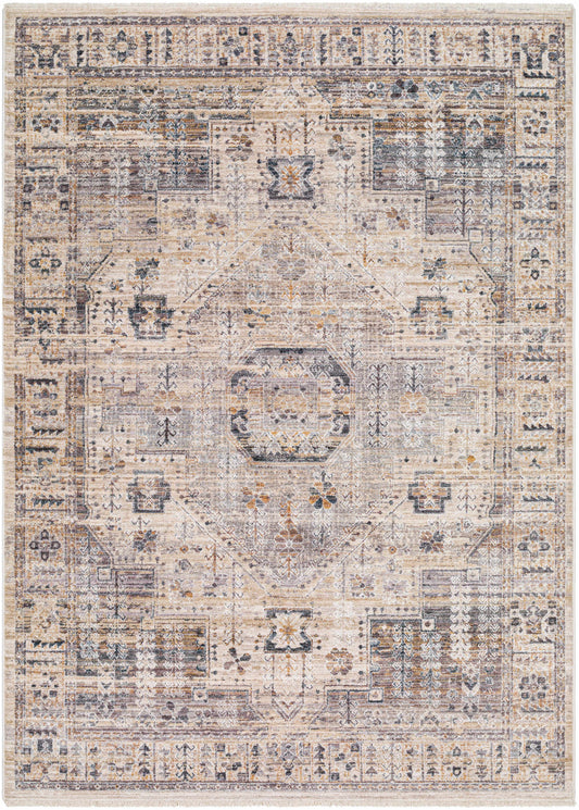 Iiona Area Rug - Clearance