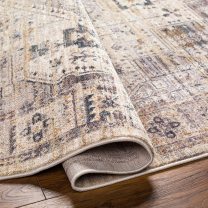 Iiona Area Rug - Clearance