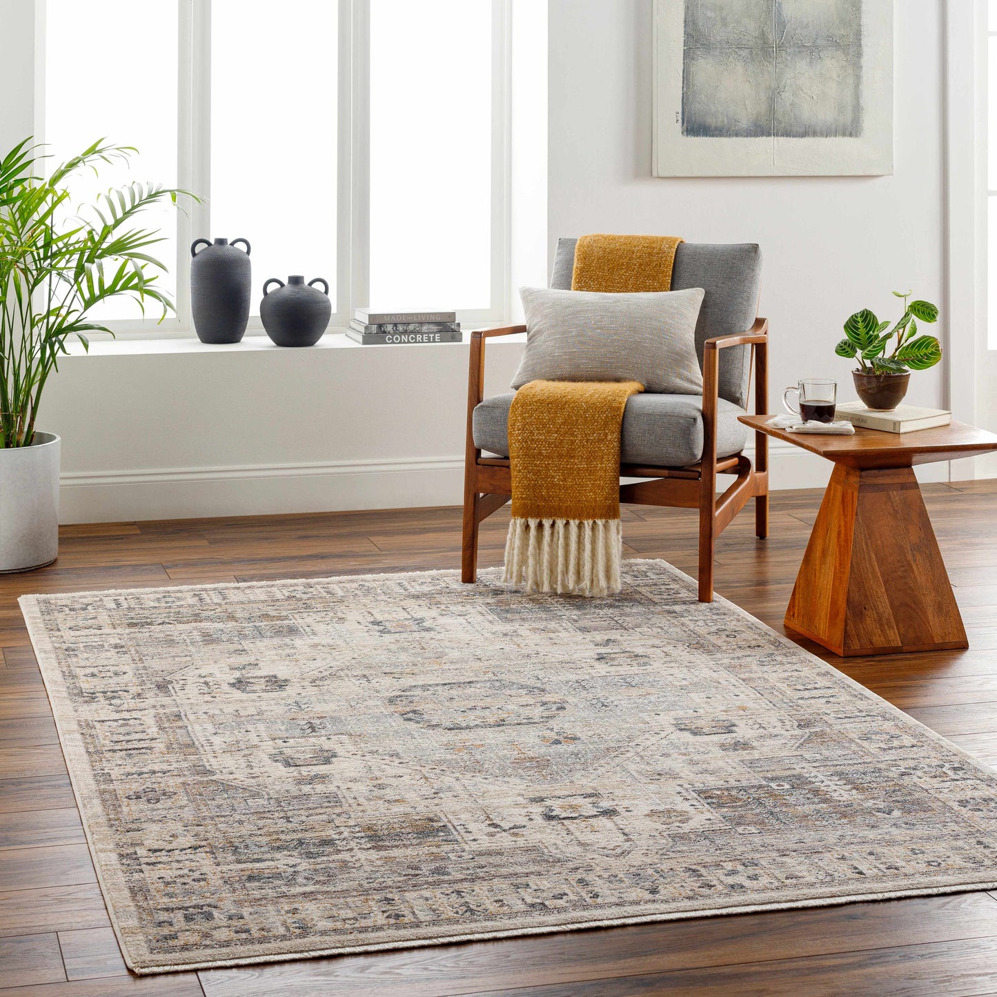 Iiona Area Rug - Clearance