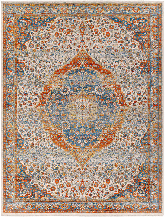 Bojan Area Rug - Clearance