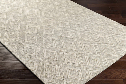 Kasib Beige Hand Woven Area Rug