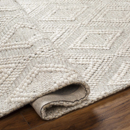 Kasib Beige Hand Woven Area Rug