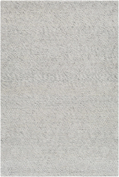 Kasib Gray Hand Woven Area Rug - Clearance