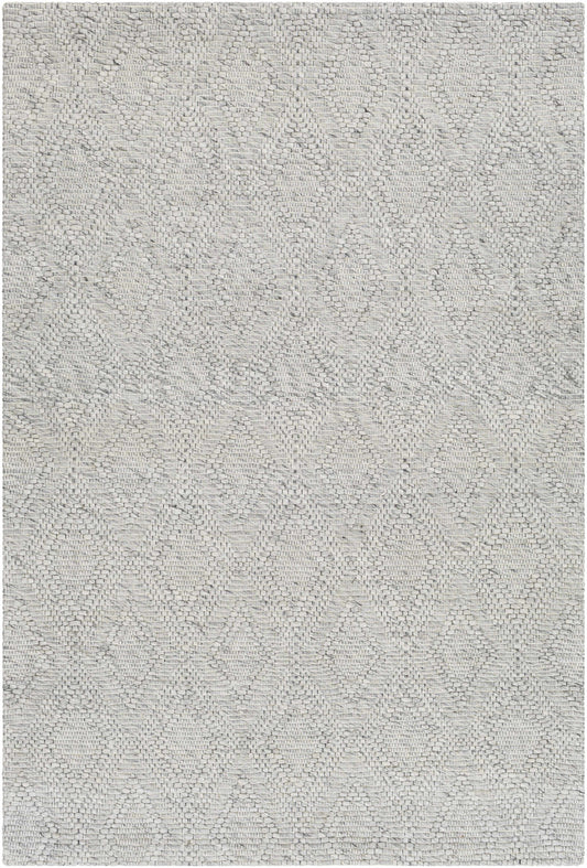 Kasib Gray Hand Woven Area Rug - Clearance