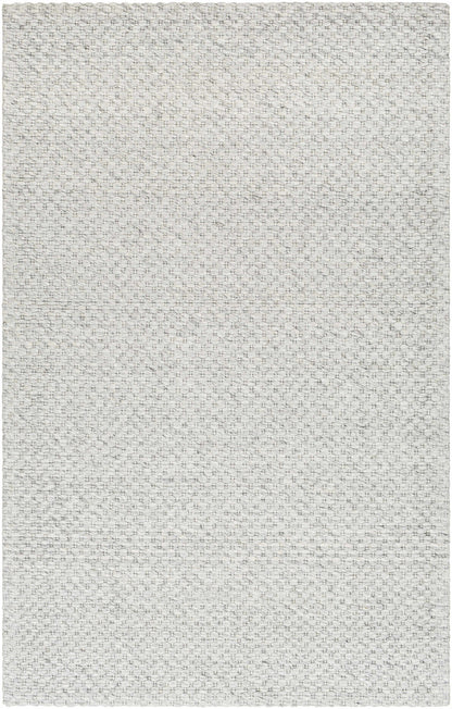 Kassa Gray Hand Woven Area Rug - Clearance
