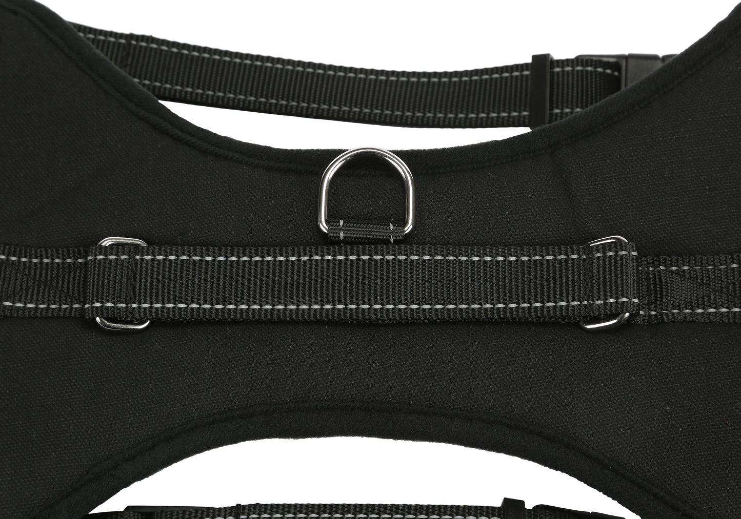 Black-
