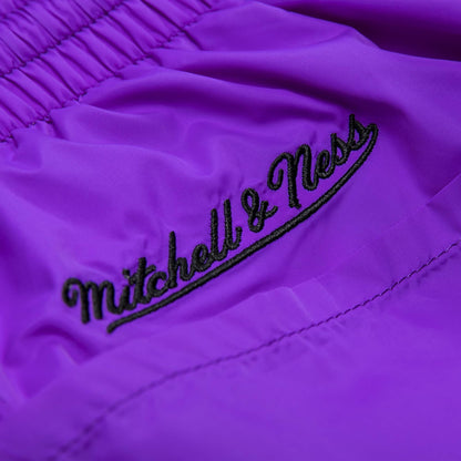 Mitchell & Ness Men's NBA Striped Short Toronto Raptors Shorts