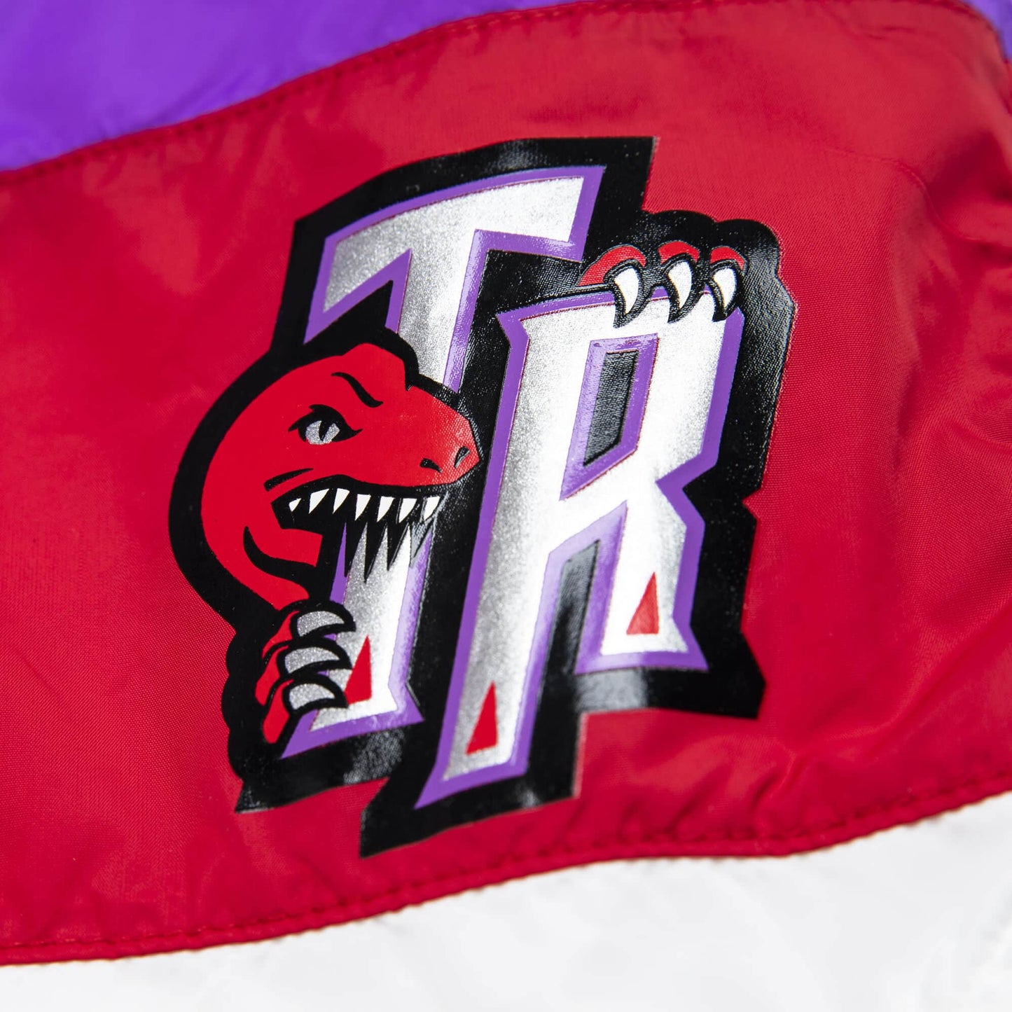 Men's Mitchell & Ness NBA Striped Short Toronto Raptors