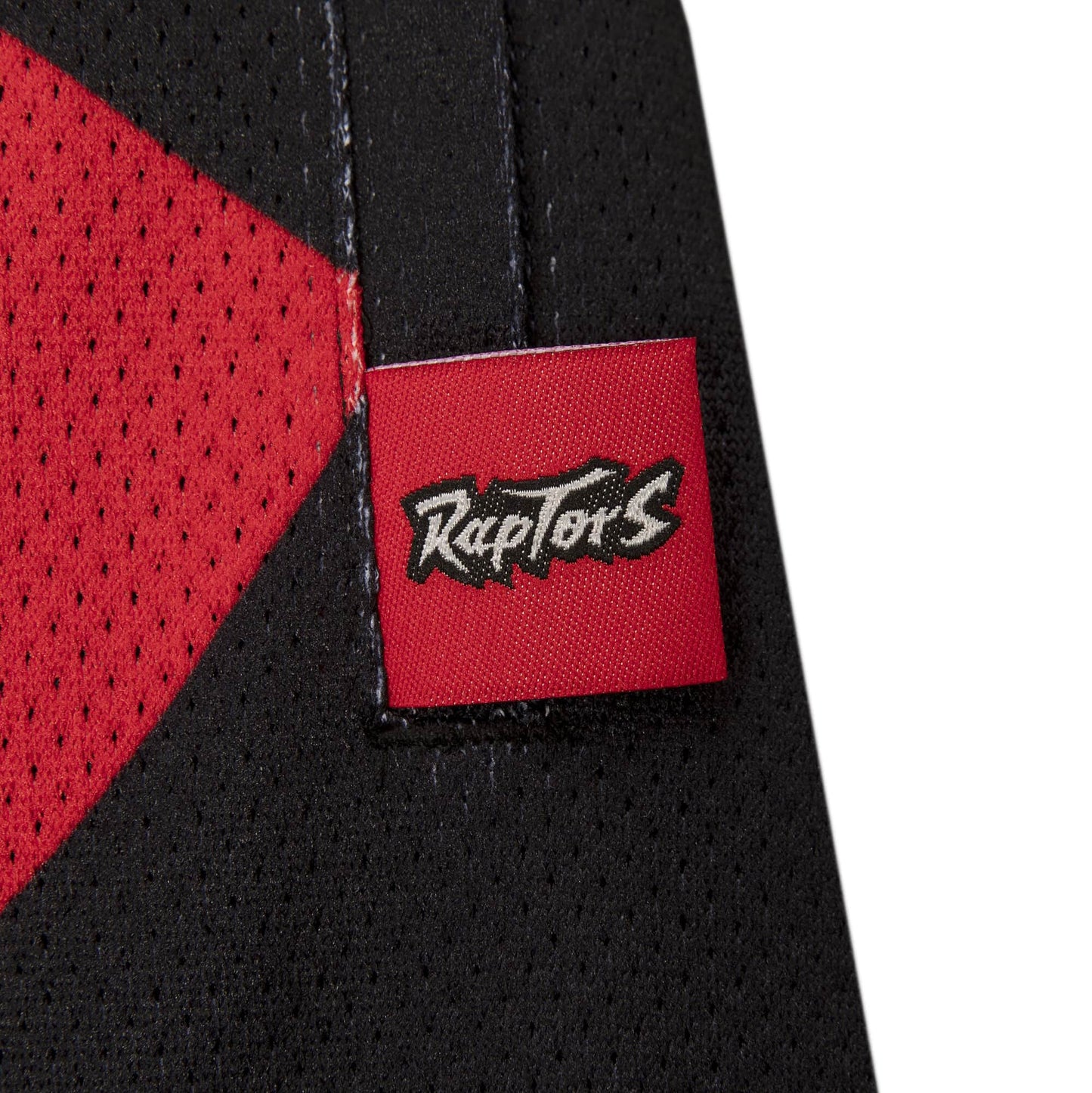 Mitchell & Ness NBA Blown Out Fashion Shorts Toronto Raptors