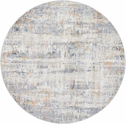 Guoda Area Rug - Clearance